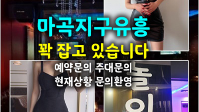 발산역골든타워 한치의 소홀함이 없는 밤대통령 자신있게 모실께요.확실하게 케어 해드립니다 마곡퍼블릭 마곡하이퍼블릭 발산역룸사롱
