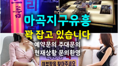발산동골든타워 찾아야하는 밤의황제 제대로 된 서비스로 모실께요 마곡셔츠룸 마곡하이퍼블릭 오늘밤어디가