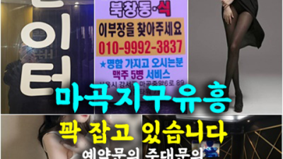 마곡북창동식룸 믿음을 주는 이사람 거짓없는 착한가격에 모시겠습니다 뉴골든타워 마곡하이퍼블릭 발산역정통비지니스룸